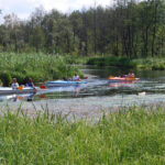 Interaktywne Mazury: parki dzikich zwierząt i wioski tematyczne, które naprawdę angażują dziec